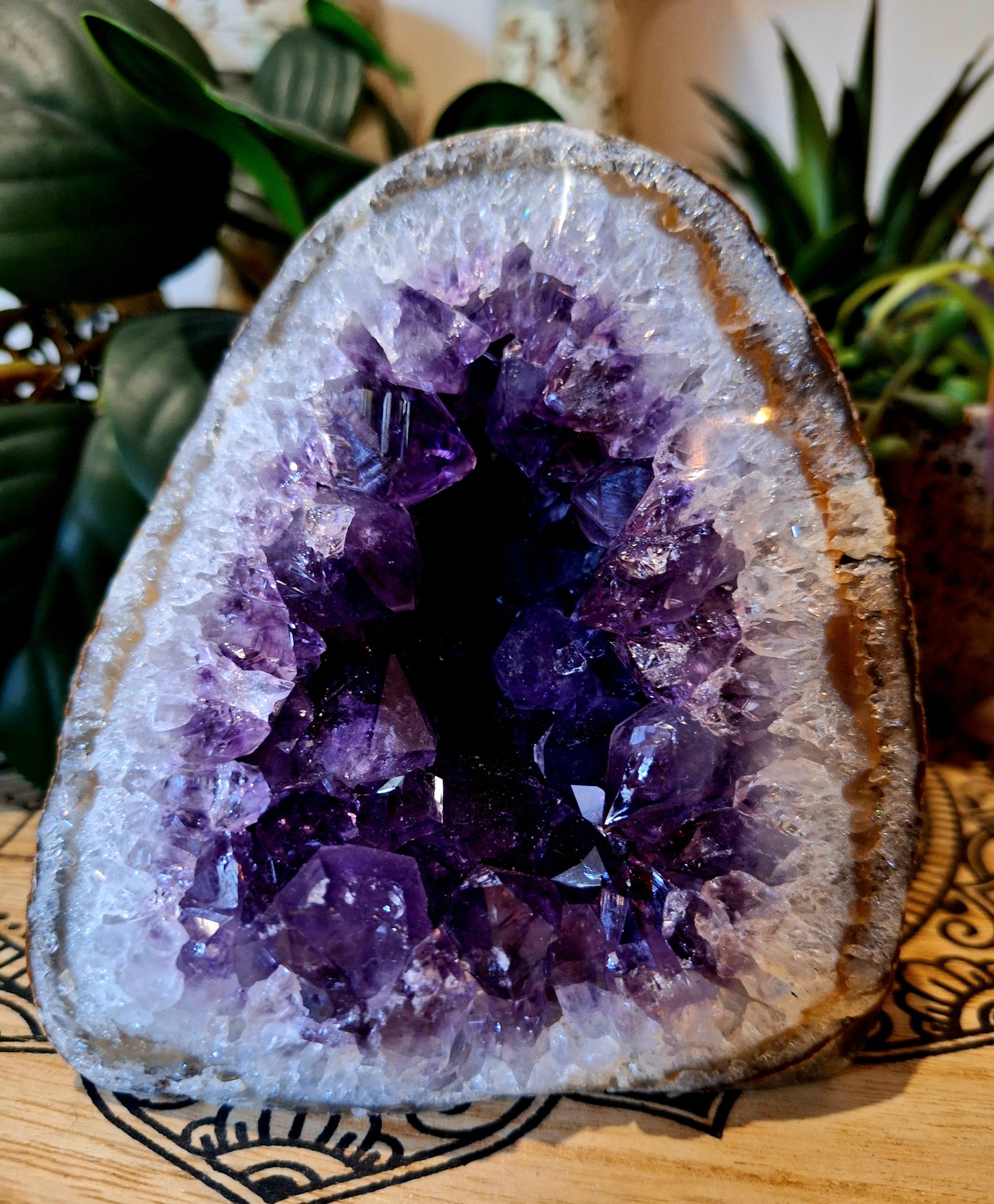 Amethyst Cluster 'C'