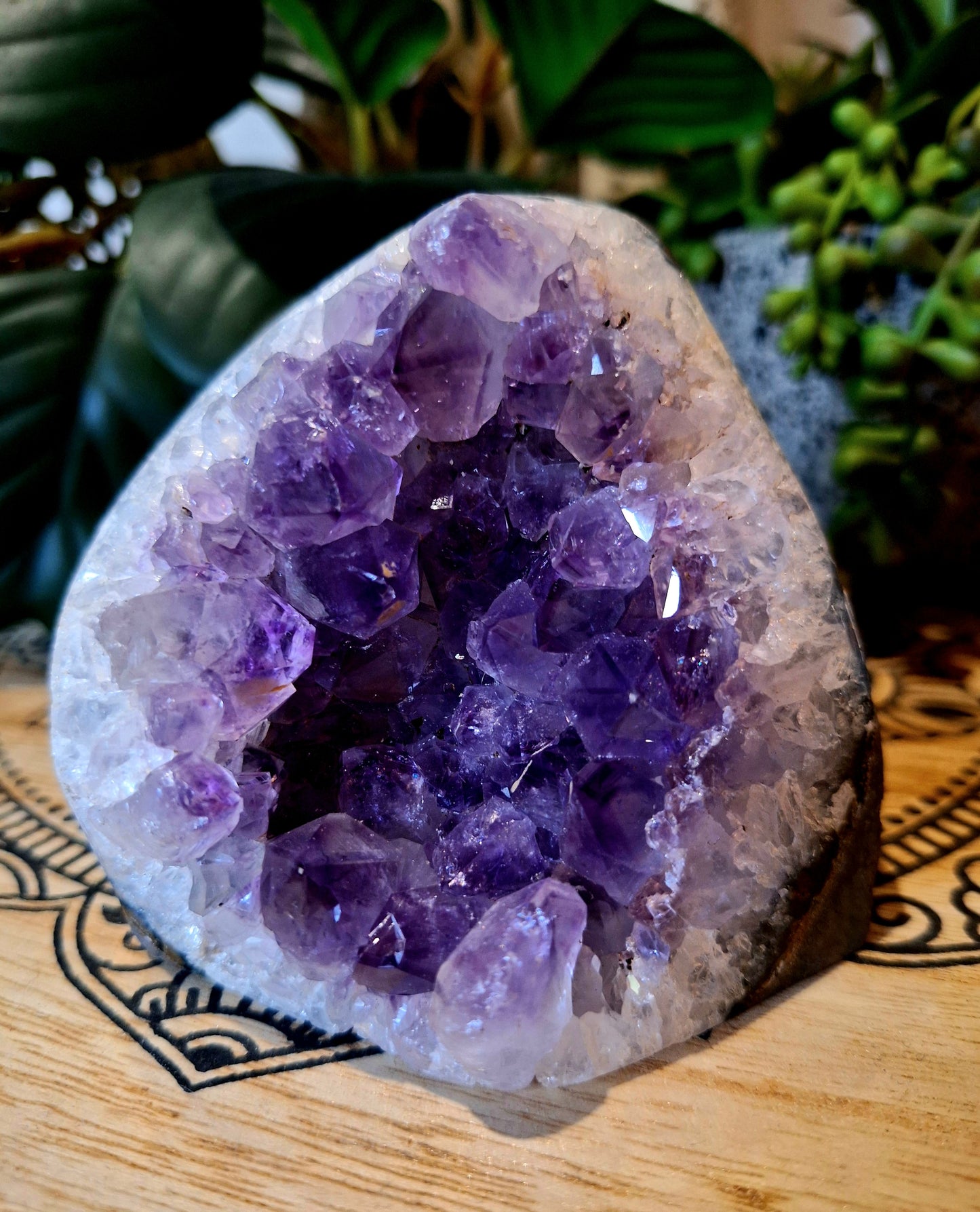 Amethyst Cluster 'D'
