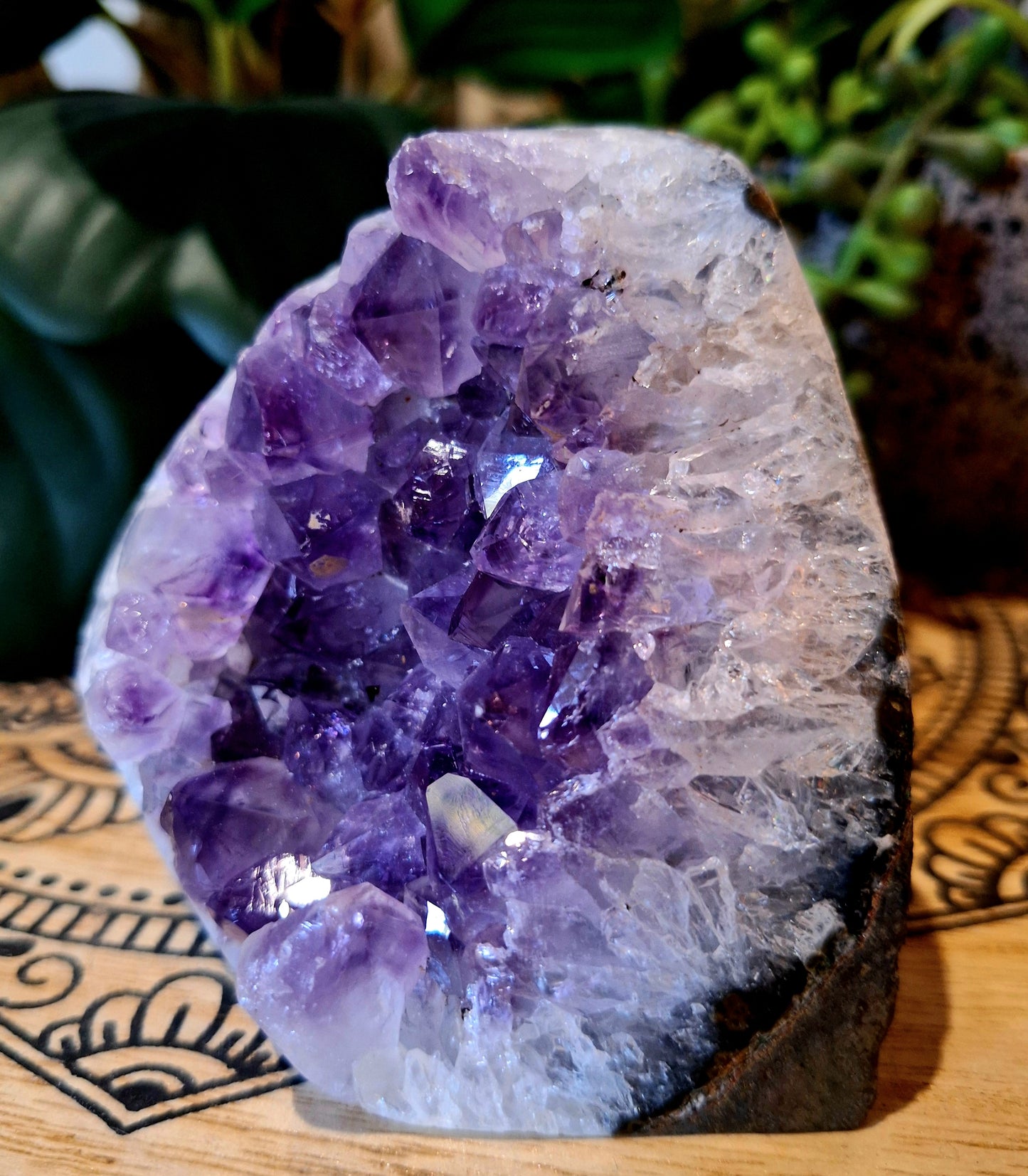Amethyst Cluster 'D'